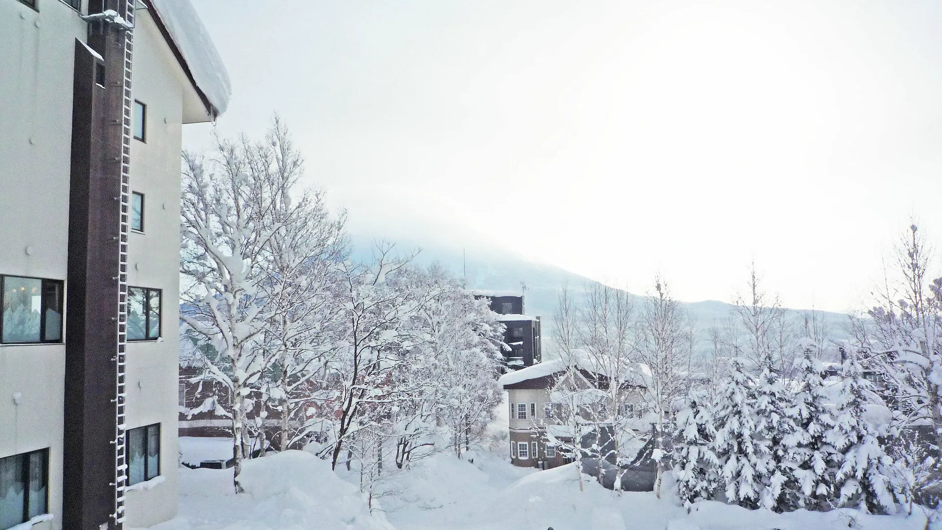 Niseko Park Hotel 2*,  Japão